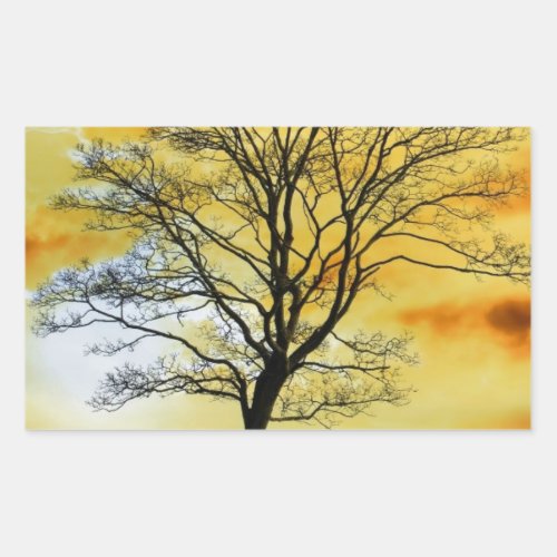 Stunning Tree sunset nature scenery photo prints Rectangular Sticker