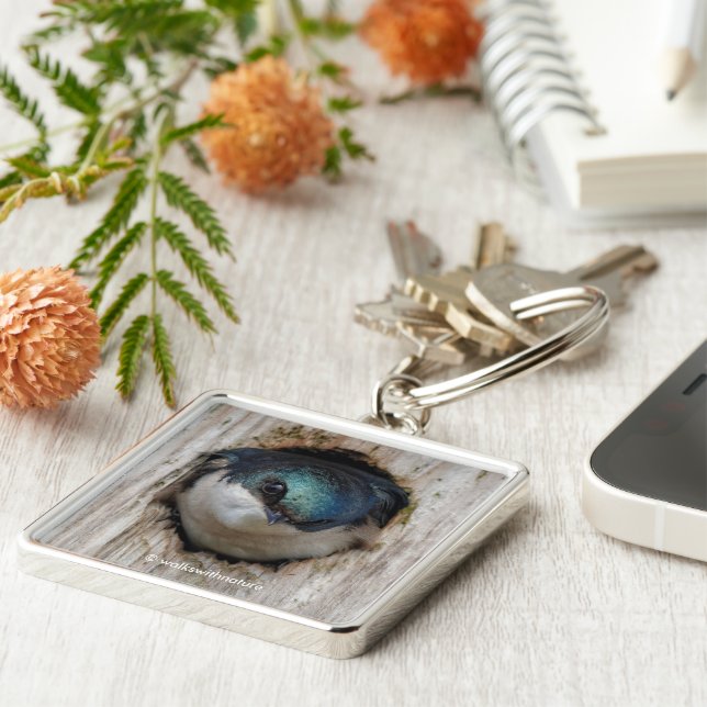 Stunning Tree Swallow Songbird in Nestbox Keychain (Side)