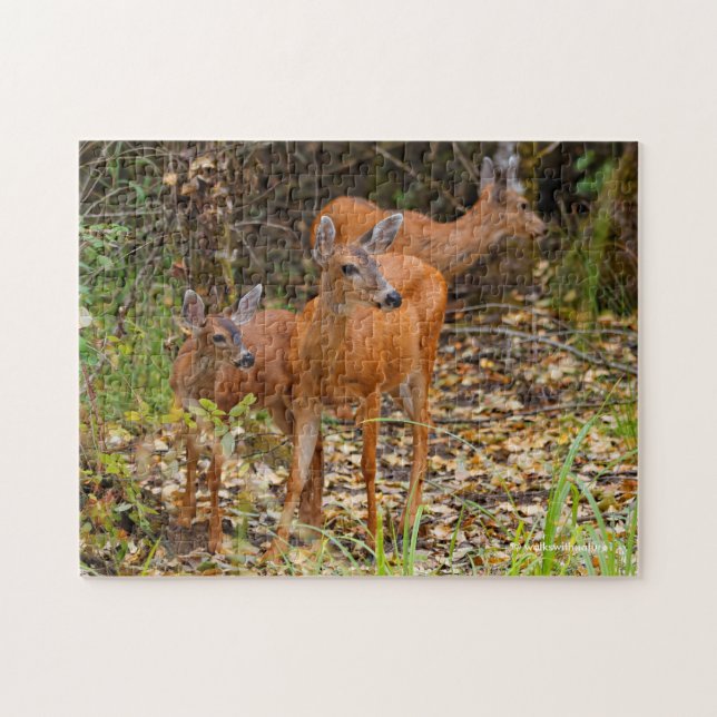 Stunning Trio of Blacktail Deer in the Forest Jigsaw Puzzle (Horizontal)