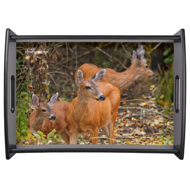 Stunning Trio of Blacktail Deer in the Forest Serving Tray (Front)