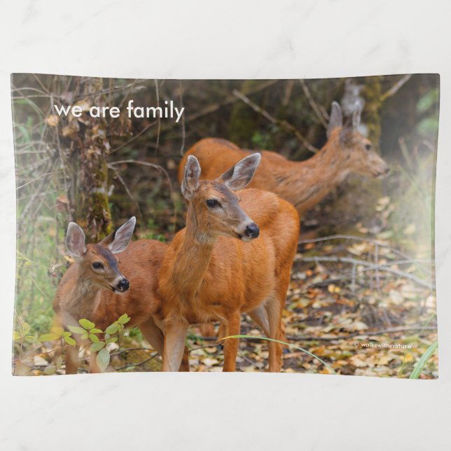 Stunning Trio of Blacktail Deer in the Forest Trinket Tray (Front)