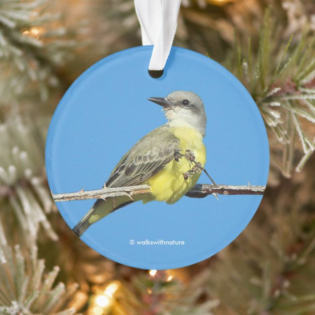 Stunning Tropical Kingbird on Blackberry Branch Ornament (Tree)