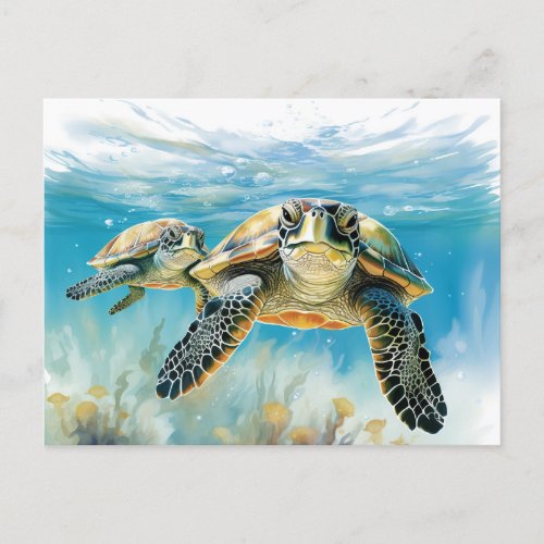Stunning Turtle Postcard