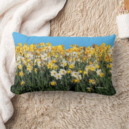 Stunning Two_Tone Medley of Daffodil Flowers Lumbar Pillow