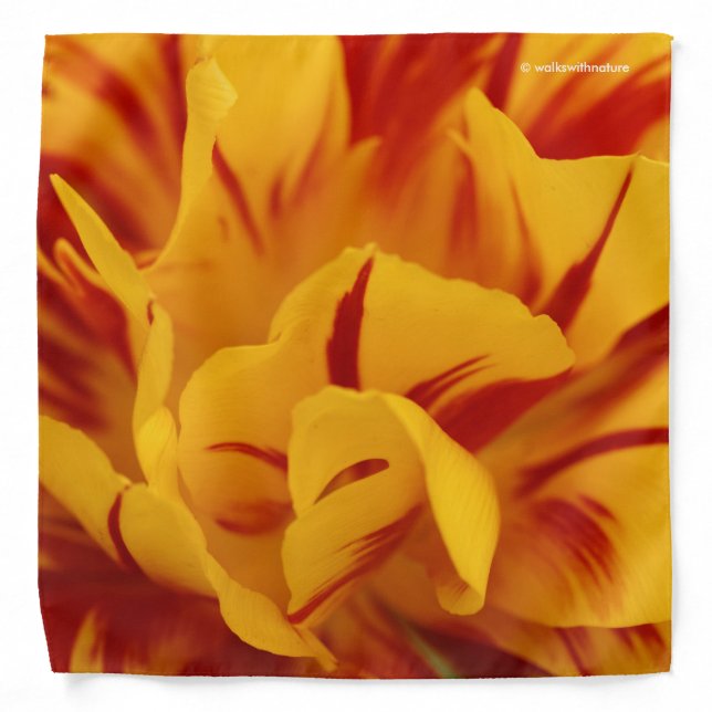 Stunning Two-Tone Red Yellow Monsella Tulips Bandana (Front)