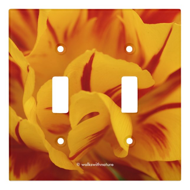 Stunning Two-Tone Red Yellow Monsella Tulips Light Switch Cover (Front)