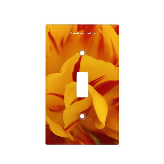 Stunning Two-Tone Red Yellow Monsella Tulips Light Switch Cover (Front)