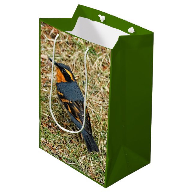 Stunning Varied Thrush on the Lawn Medium Gift Bag (Front Angled)