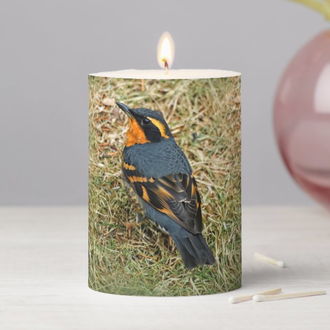 Stunning Varied Thrush on the Lawn Pillar Candle (In Situ)