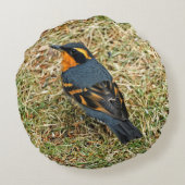 Stunning Varied Thrush on the Lawn Round Pillow (Back)