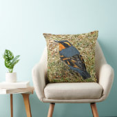 Stunning Varied Thrush on the Lawn Throw Pillow (Chair)