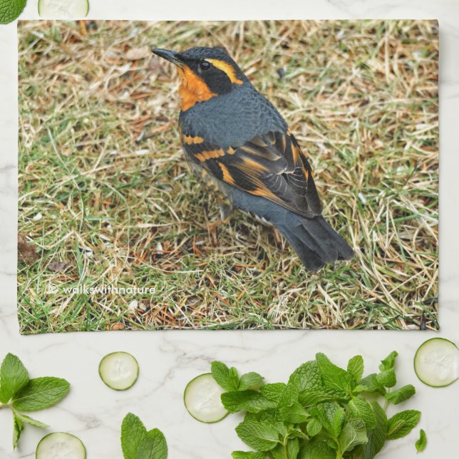 Stunning Varied Thrush Songbird in the Grass Kitchen Towel (Folded)