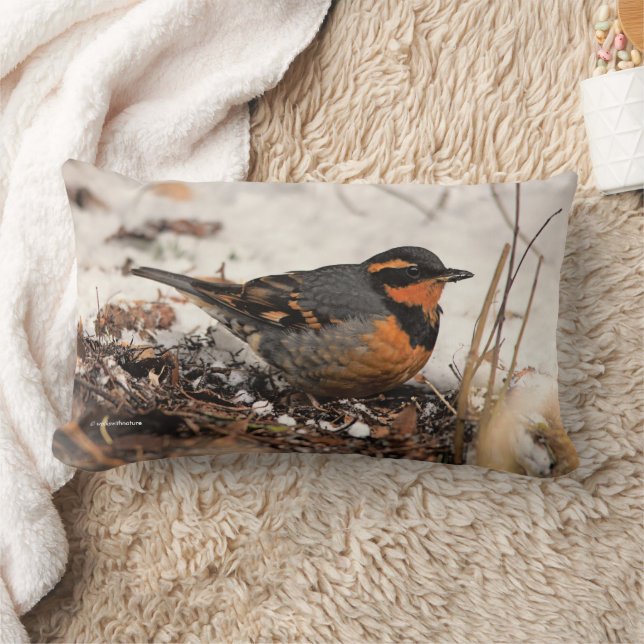 Stunning Varied Thrush Songbird in the Snow Lumbar Pillow (Blanket)