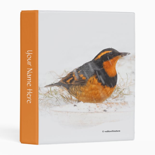 Stunning Varied Thrush Songbird on Snowy Day Mini Binder (Front/Spine)