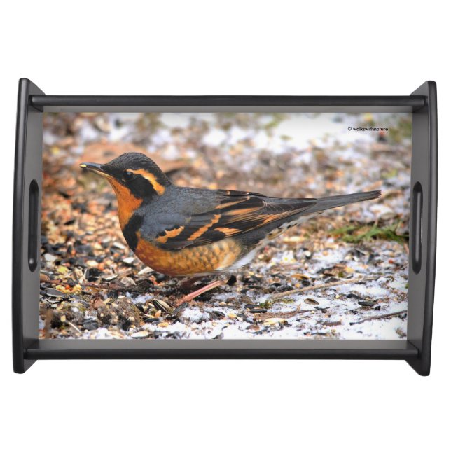 Stunning Varied Thrush Songbird on Snowy Ground Serving Tray (Front)
