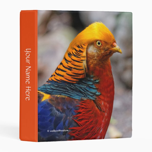 Stunning Vignetted Profile of a Golden Pheasant Mini Binder (Front/Spine)