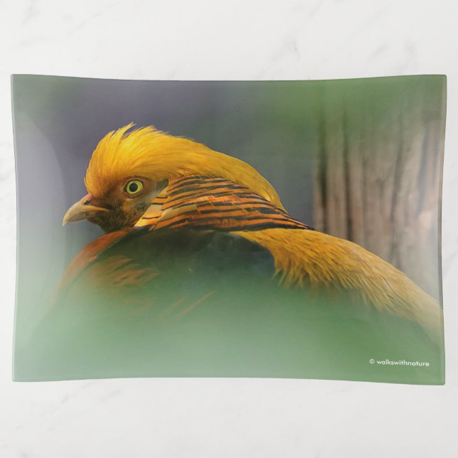 Stunning Vignetted Profile of a Golden Pheasant Trinket Tray (Front)