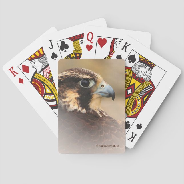 Stunning Vignetted Profile of a Peregrine Falcon Poker Cards (Back)