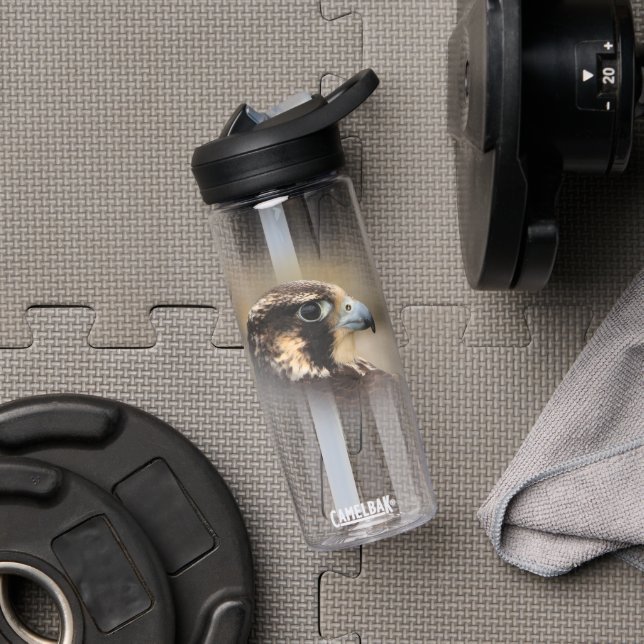 Stunning Vignetted Profile of a Peregrine Falcon Water Bottle (Gym)