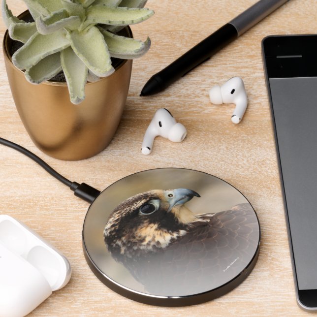 Stunning Vignetted Profile of a Peregrine Falcon Wireless Charger (Desk 2)