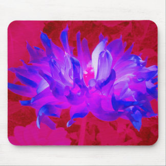 Stunning Violet Blue and Hot Pink Cactus Dahlia Mouse Pad