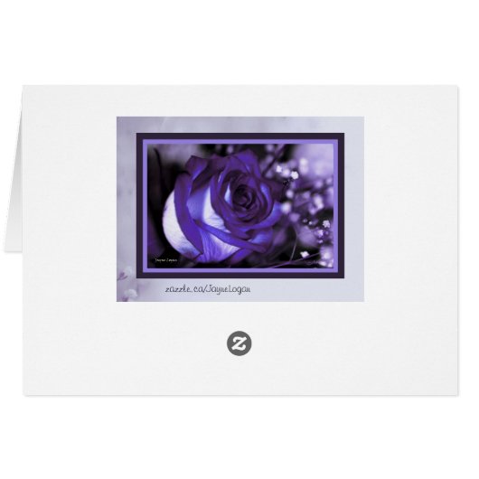 stunning Violet Rose! Blank Card (Template) (Back Horizontal)