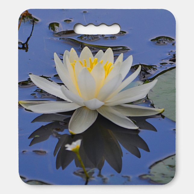 Stunning Water Lily Kneeler or Seat Cushion (Front Vertical)