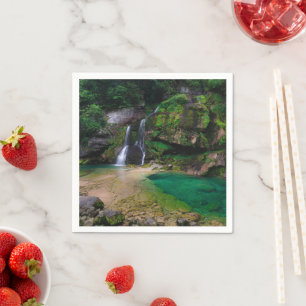 Stunning waterfall Virje, Slovenia Poster Napkins