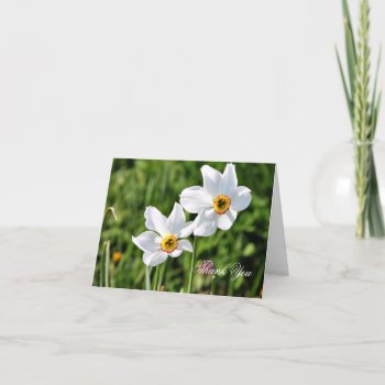 Stunning White Jonquil Flowers Thank You by MagnoliaVintage at Zazzle