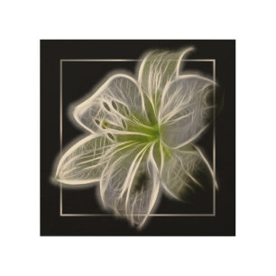 Stunning White Lily Fractal Art Black