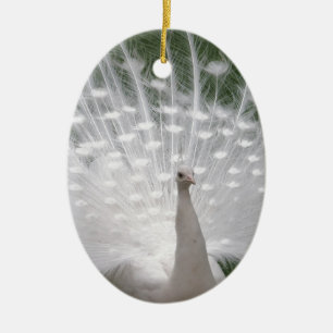 Stunning white Peacock ( Peafowl) full plume Ceramic Ornament