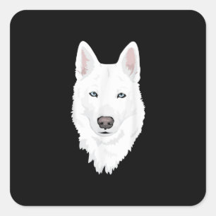 Stunning White Siberian Husky - Sweet White Snow Square Sticker