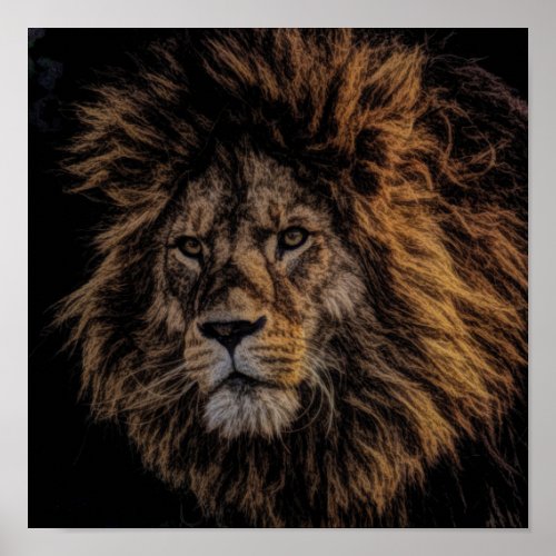 Stunning Wild African Male Lion Poster