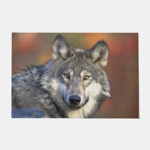 Stunning wolf portrait doormat