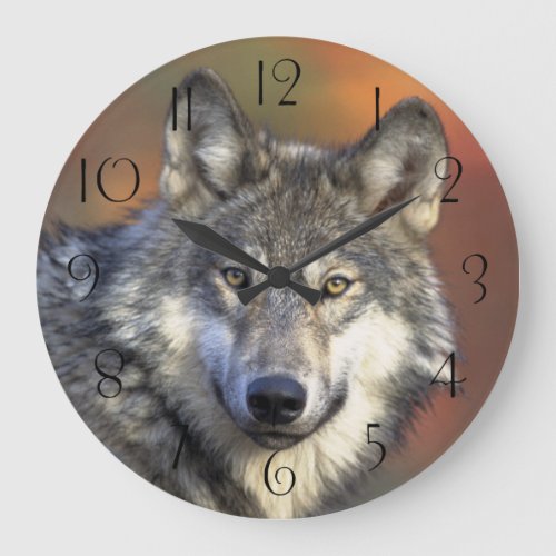 Stunning wolf portrait large clock