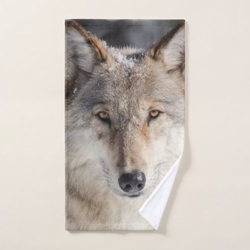 Stunning wolf portrait yellowstone wyoming hand towel 