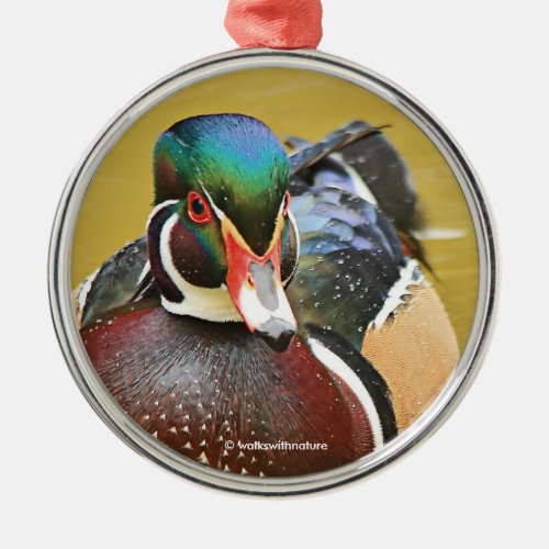 Stunning Wood Duck in the Pond Metal Ornament