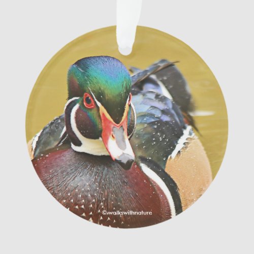Stunning Wood Duck in the Pond Ornament
