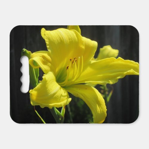 Stunning Yellow Day Lily Kneeler or Seat Cushion