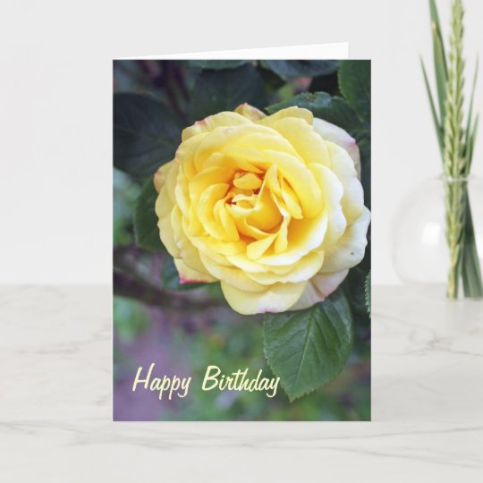 Stunning Yellow Rose Birthday Card