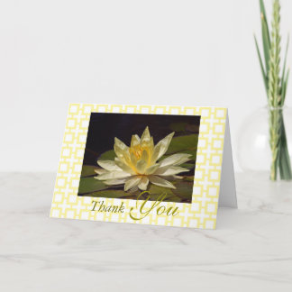 Stunning Yellow White Lotus Blossom Thank You