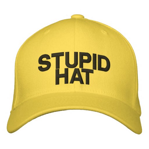 Image result for stupid hat