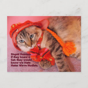 stupid humans humor postcard