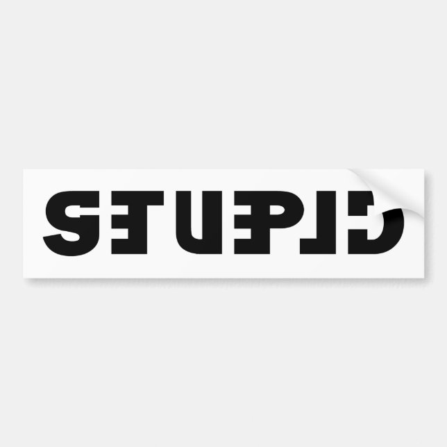 Stupid on the Sticker, Clever in the Mirror Bumper Sticker (Front)