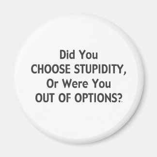 Stupid Options One Magnet