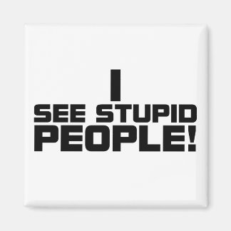 Stupid People Magnet