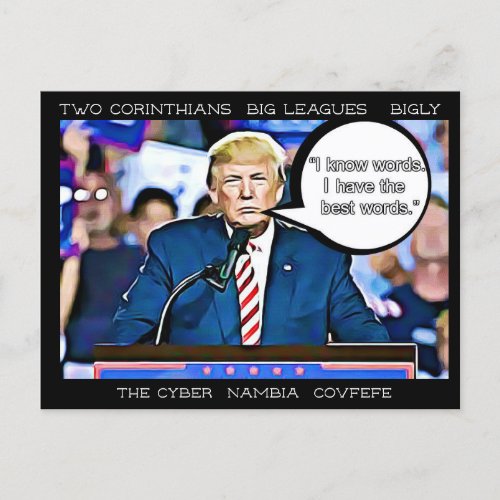 Stupid Things Trump has said Postcard Souvenir