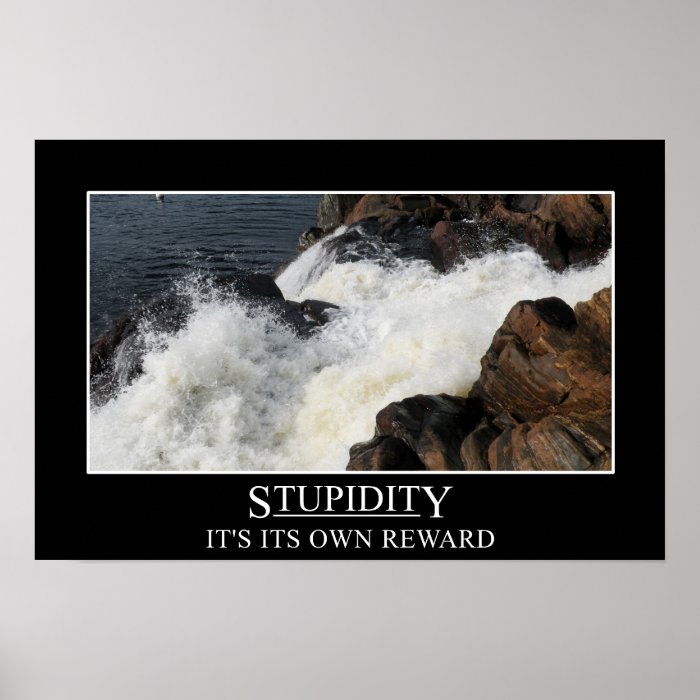 Stupidity is its own reward (L) Poster