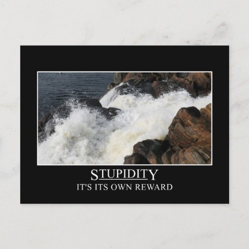 Stupidity is its own reward postcard
