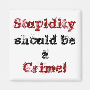 Stupidity, should be a, Crime! magnet